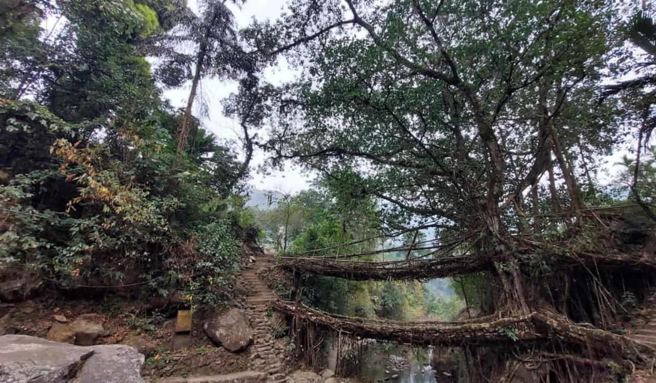 Odyssey Stays Nongriat - 3Kms Trek From Main Road チェラプンジ エクステリア 写真