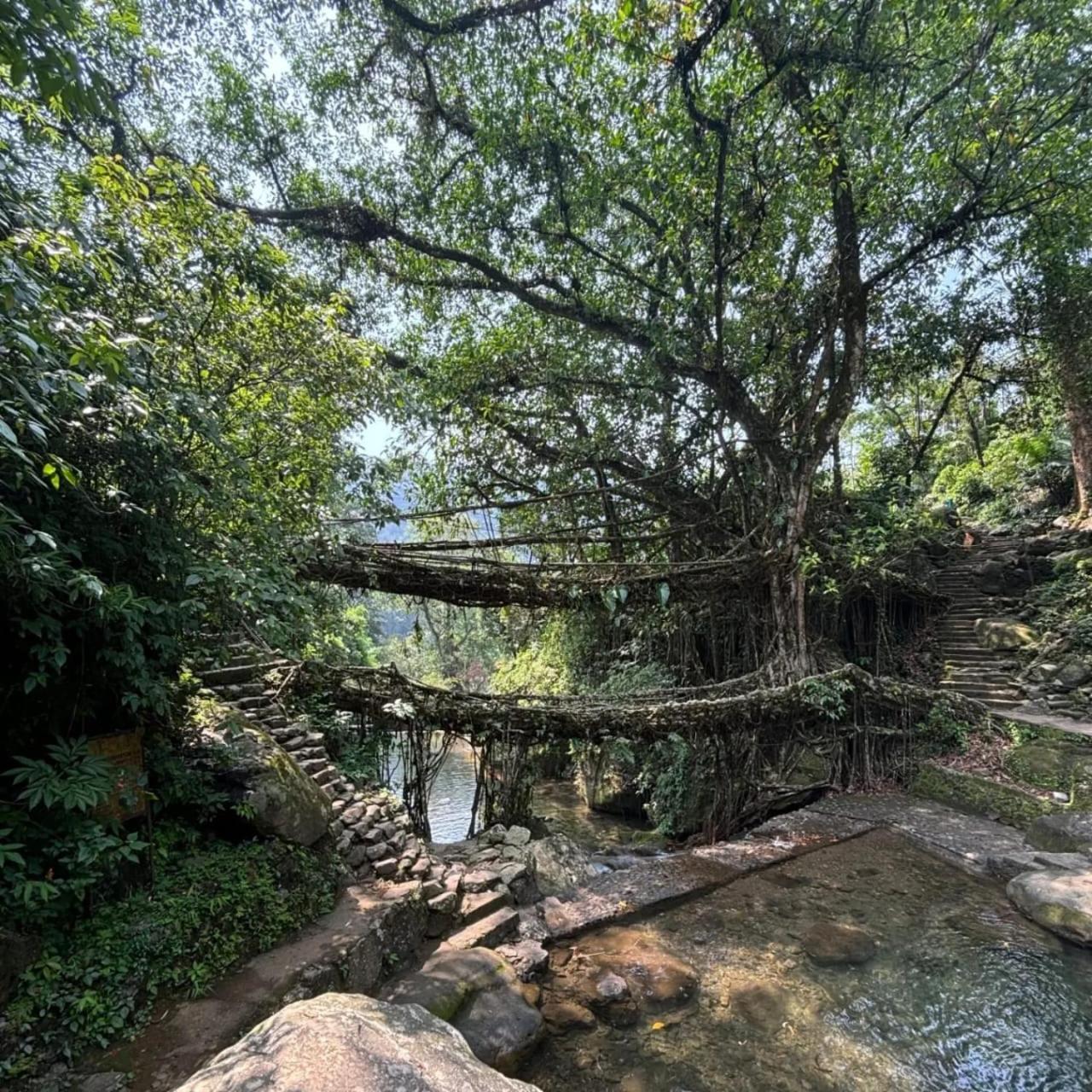 Odyssey Stays Nongriat - 3Kms Trek From Main Road チェラプンジ エクステリア 写真